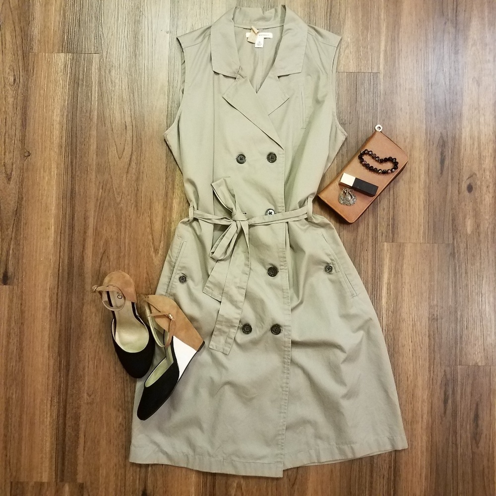 Banana Republic double breasted pocket dress